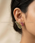 Pari Butterfly
